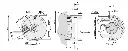 A42M-Rotary-Encoder-Drawing.webp